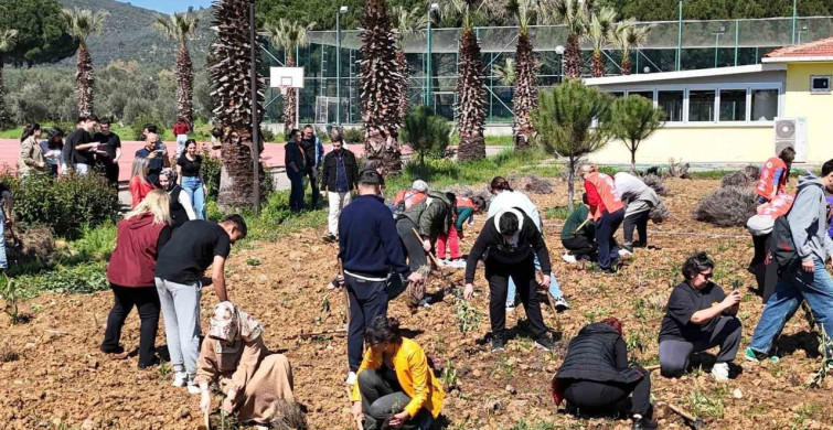 Edremit'te Sürdürülebilir Tarım Fırsatları