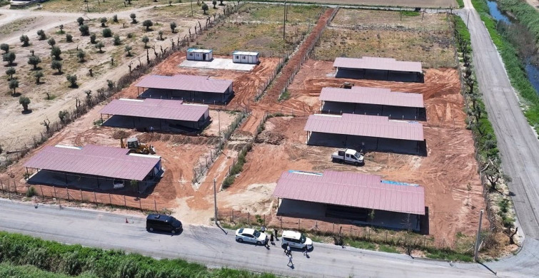 Efeler Belediyesi’nden sokak hayvanları için yeni yaşam alanı