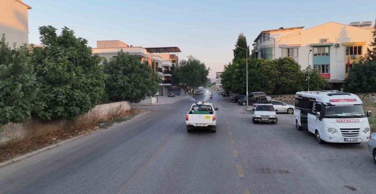 Efeler'de haşere mücadelesi devam ediyor