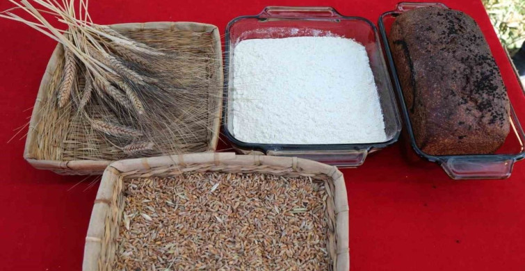 Efeler’de kadın emeği tarımsal ürün fabrikasında yaz sezonu hazırlıkları başladı