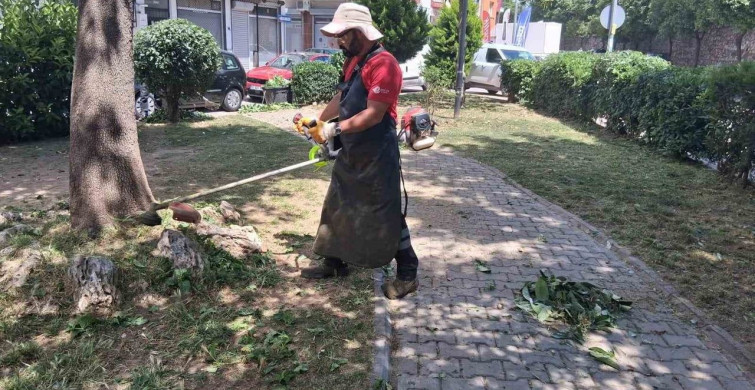 Efeler'de Park Bakım Çalışmaları Hız Kazandı
