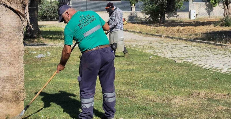 Efeler'de Yeşil Alan Temizlik Çalışmaları