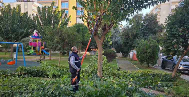 Efeler'deki Parklarda Yenileme Çalışmaları Devam Ediyor