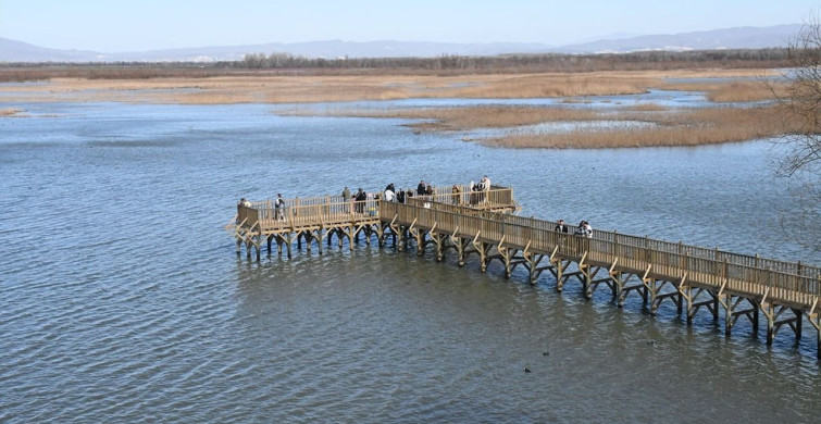 Efteni Gölü Kuş Cenneti Doğaseverlerle Dolu