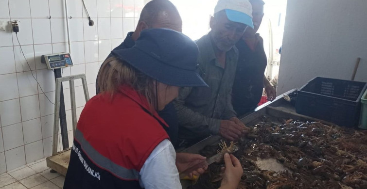 Eğirdir gölü’nde su ürünleri denetimleri devam ediyor