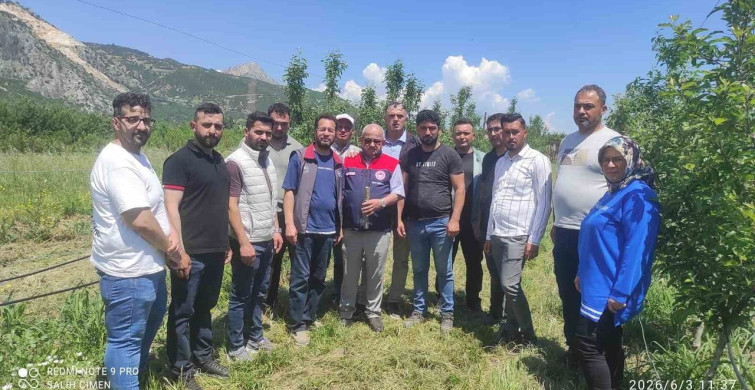 Eğirdir'de Meyve Ağaçları Budama ve Aşılama Kursu Tamamlandı