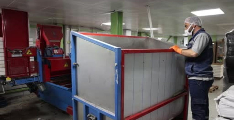 Elazığ Belediyesi'nin Çiçek Üretimiyle Kent Estetiği Artıyor