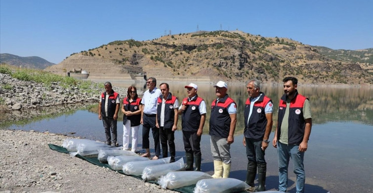 Elazığ'da 17 Milyon Yavru Sazan İç Sulara Salınacak