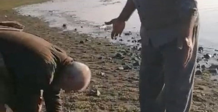 Elazığ'da Amatör Balıkçılar Dev Turna Balığı Yakaladı