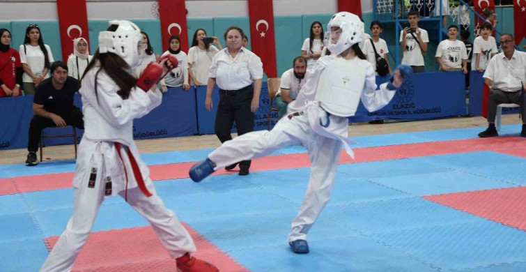Elazığ'da Anadolu Yıldızlar Ligi karate grup müsabakaları tamamlandı