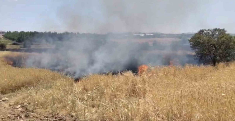 Elazığ'da arazi yangınına müdahale sürüyor