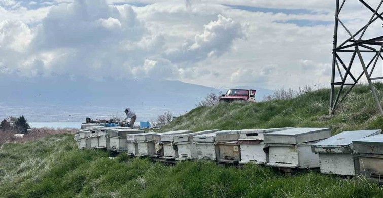 Elazığ'da Arıcılar Yavru Döneminde Besleme Çalışmalarına Devam Ediyor