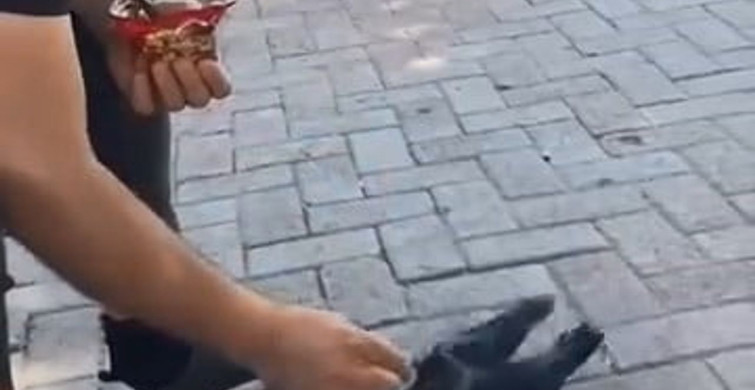 Elazığ'da bir vatandaş, yavru kargayı elleriyle besledi