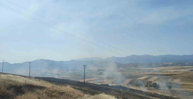 Elazığ'da çıkan yangında 40 dönümlük arpa tarlası yandı