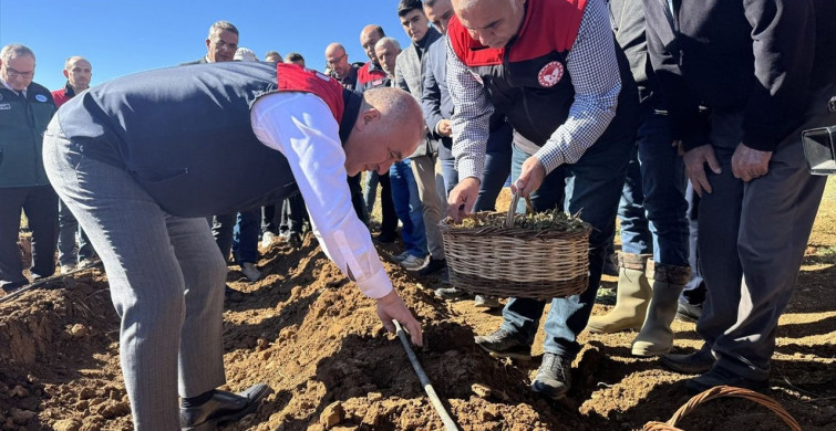 Elazığ'da Çilek Üretimi İçin 20 Bin Fide Dağıtıldı Elazığ'da Çilek Üretimi İçin 20 Bin Fide Dağıtıldı
