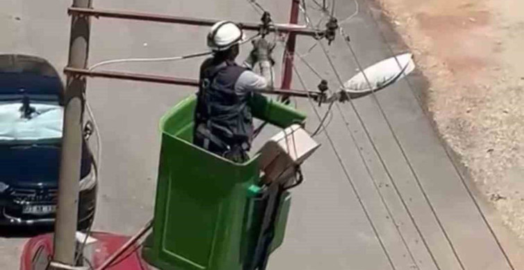 Elazığ’da elektrik tellerine takılan kuş kurtarıldı