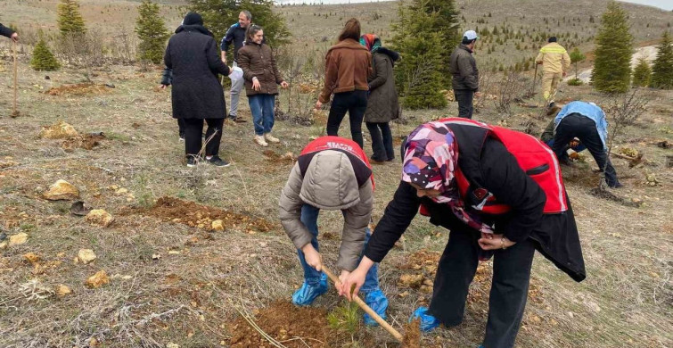Elazığ'da Fidan Dikim Etkinliği Çocuklara Doğa Bilinci Aşılıyor