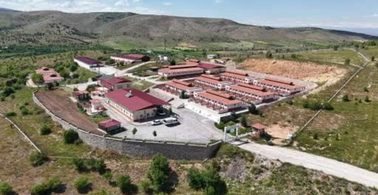 Elazığ'da Hayvan Bakımevi 9 Yılda 15 Bin Hayvan Tedavi Etti