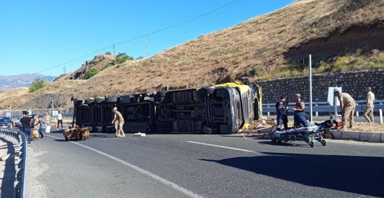 Elazığ’da hayvan yüklü tır devrildi: 2 yaralı