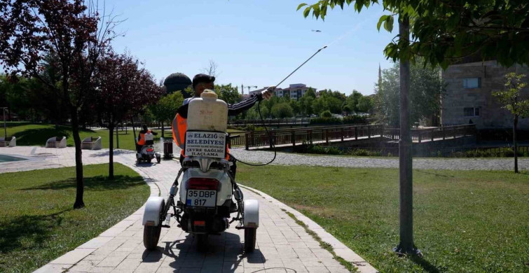Elazığ'da ilaçlama çalışmaları sürüyor