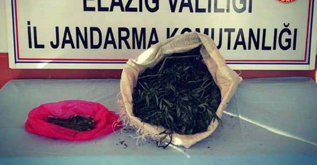 Elazığ'da Jandarma Ekipleri, Uyuşturucu Tacirini 2 Kilo Esrarla Yakaladı