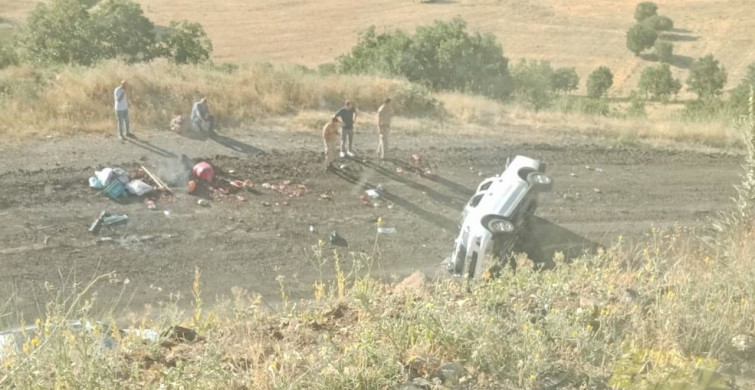 Elazığ'da kamyonet şarampole yuvarlandı, 4 kişi yaralandı
