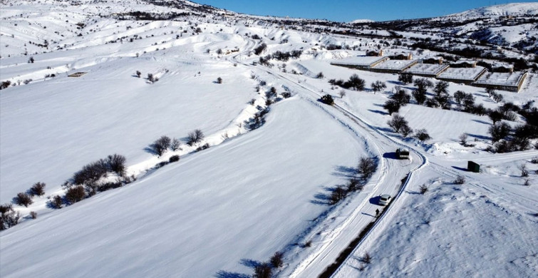Elazığ'da Karla Mücadele ve Sahipsiz Hayvanlara Yardım
