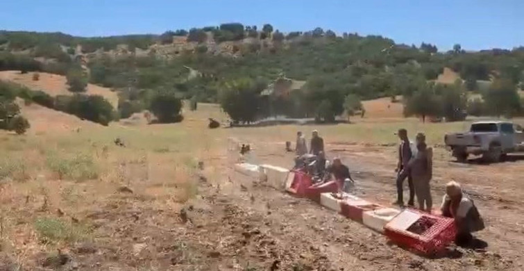 Elazığ’da kenelerle mücadele için doğaya keklik bırakıldı