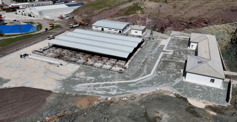 Elazığ'da Kurban Bayramı İçin Hazırlıklar Başladı