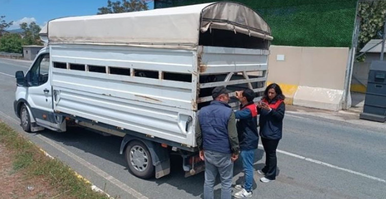 Elazığ'da Kurban Bayramı Öncesi Hayvan Denetimlerine Hız Verildi