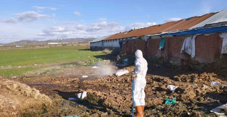 Elazığ'da Larva İlaçlama Çalışmaları Başladı
