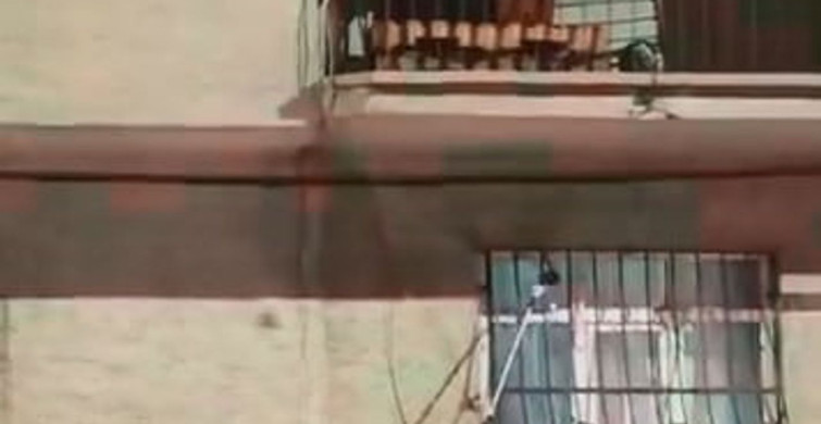 Elazığ'da pencere korkuluğundaki yılan doğaya bırakıldı
