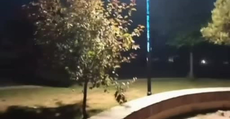 Elazığ’da polisten kaçan sürücüye rekor ceza