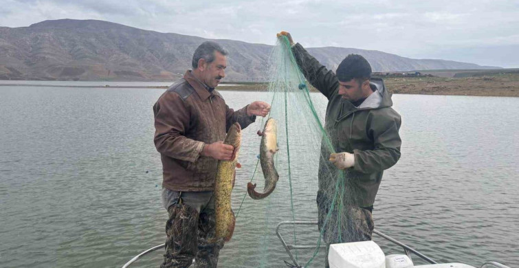 Elazığ’da Su Ürünleri Araştırma Çalışmaları Devam Ediyor