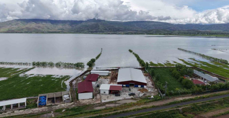 Elazığ'da Üreticiler Su Tehlikesiyle Yüz Yüze: Setler ve Nöbet Tutma Uygulamaları Başlatıldı