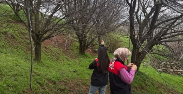 Elazığ'da Zirai Don Mücadelesi Devam Ediyor