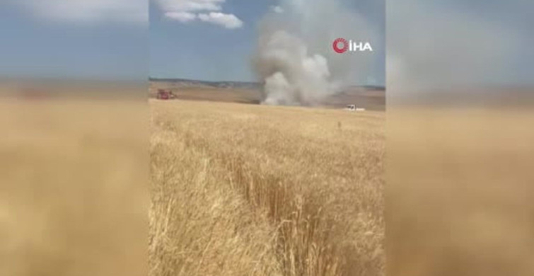 Elazığ'ın Karakoçan ilçesinde tarım alanları yangında zarar gördü
