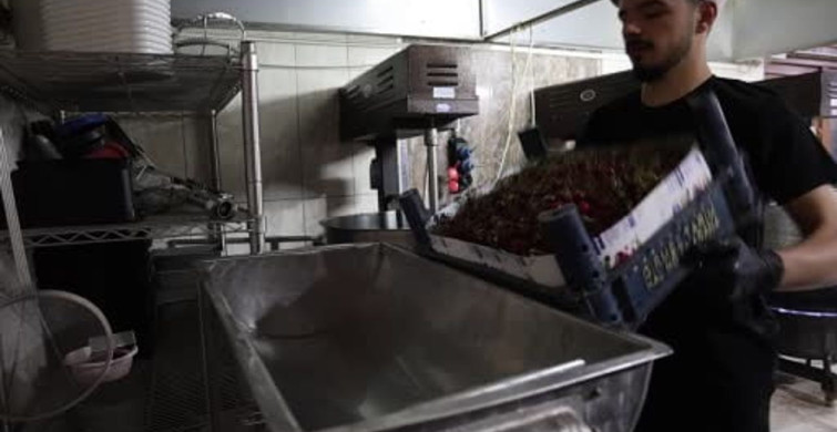 Elazığ’ın tescilli vişne dondurmasına yoğun rağbet