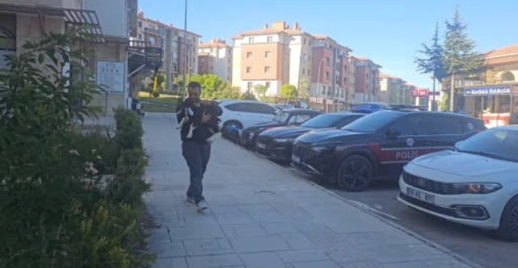 Elazığ'ın Yeni Maskotu: Zeytin Oğlak