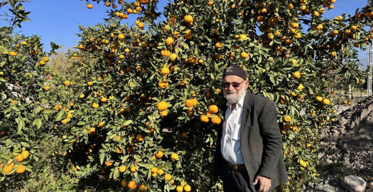 Elmacı Dede'den Mehmetçiğe Destek: Mandalina Yardımı