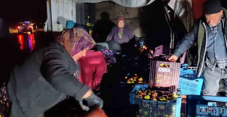 Elmalar Kazada Yola Saçıldı, Köylüler Topladı