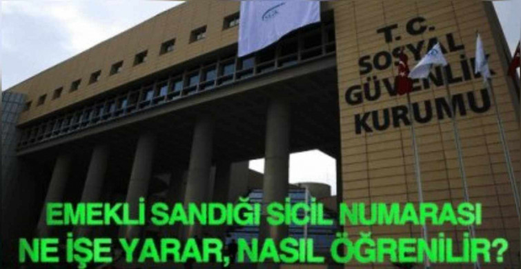 Emekli Sandığı sicil numarası sorgulama, öğrenme işlemi nasıl yapılır? Emekli Sandığı sicil numarası sorgulama öğrenme