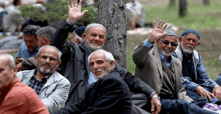 Emeklilere ücretsiz verilecek hizmetler belli oldu! 81 ilin 81’inde de geçerli olacak