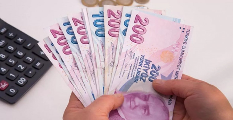 Emekliye iyi haber! Kredi çekmek iseyip çekemeyen emekliye devlet bankalarından kredi! Ziraat Bankası başladı sırada Halkbank var!