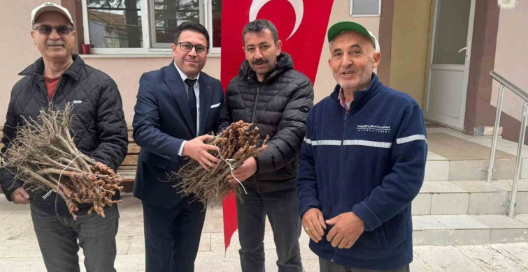 Emet’te Bağcılığa Destek: 35 Üreticiye 980 Üzüm Fidanı