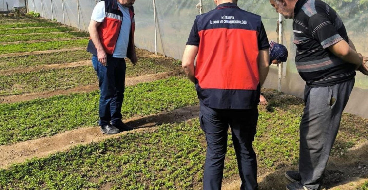 Emet'te Seracılık Faaliyetlerine Destek Ziyareti