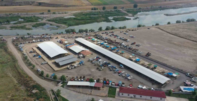 Erbaa'da koyun çiçek hastalığı nedeniyle hayvan pazarı kapatıldı