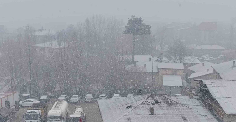 Erciş'te Nisan Ayında Beklenmedik Kar Yağışı