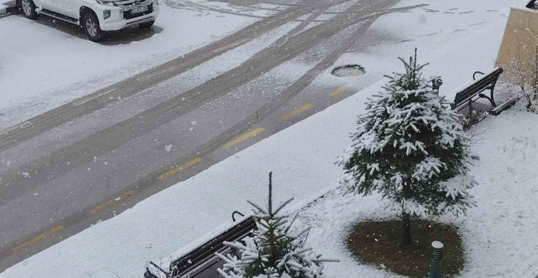 Erciş'te Nisan Ayında Beklenmedik Kar Yağışı