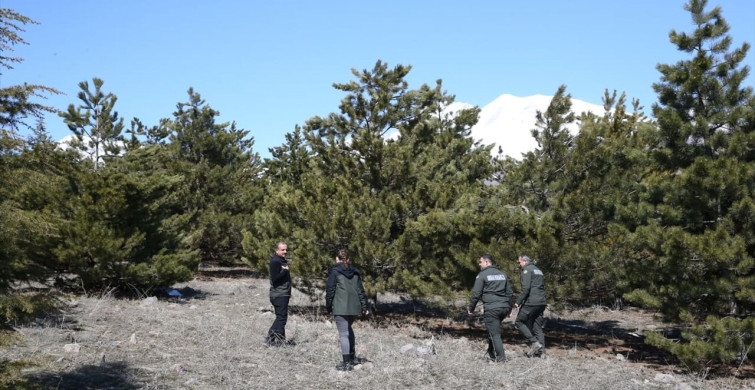 Erciyes'te 15 Yılda 7 Milyon Fidan Dikildi